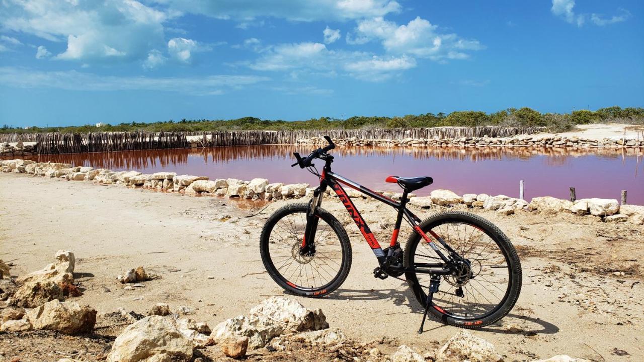 Reef Yucatan All Inclusive & Convention Center Merida Exterior photo